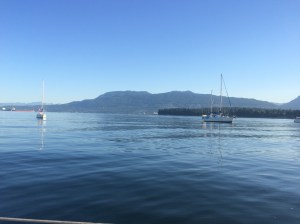 A perfect way to see the the city 