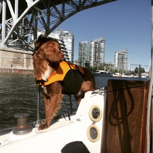 Lenny (in his lifejacket), checking out False Creek