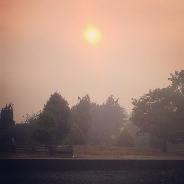 Afternoon sun shining through the heavy smoke