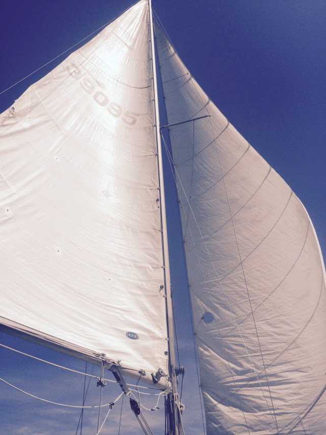 Wing and wing sailing