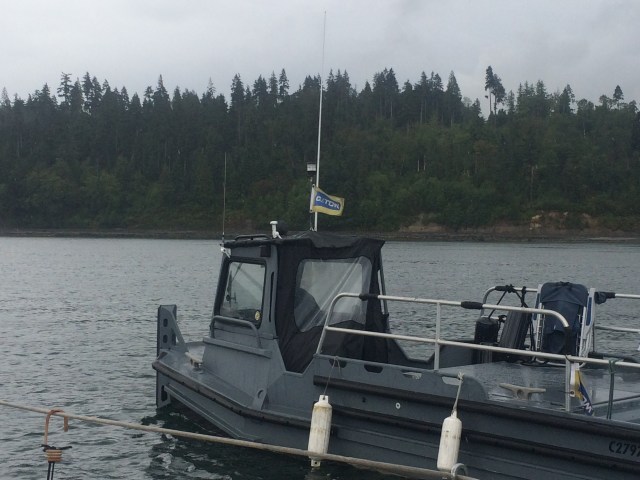 Thank goodness for C-Tow