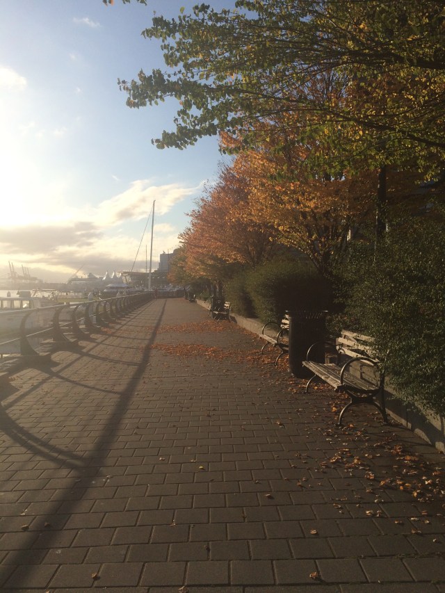 My morning 'commute'