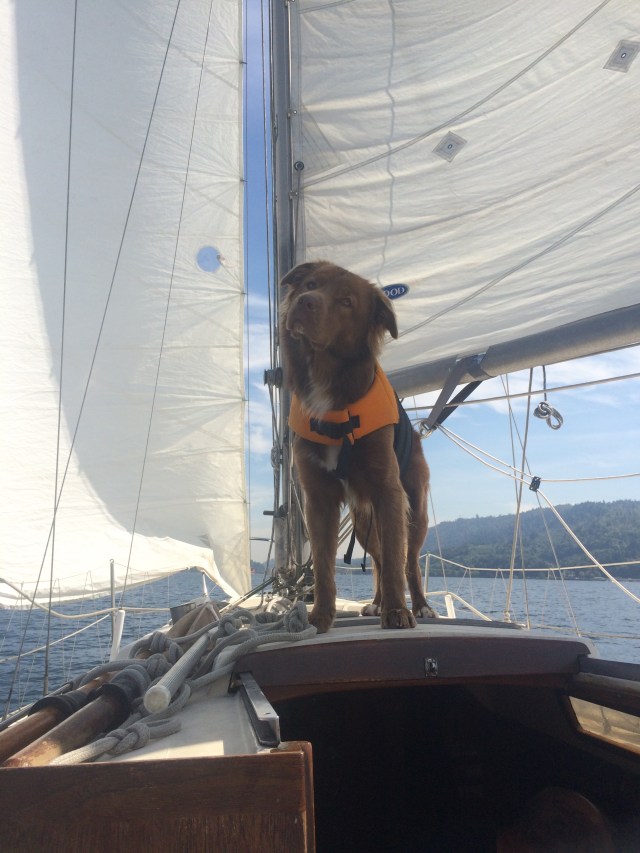 For some reason he always has a look of concern