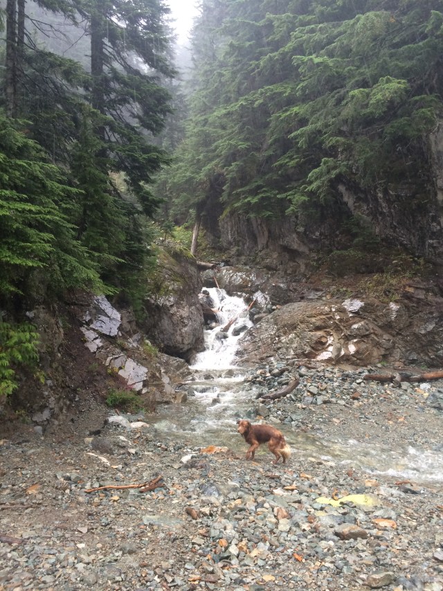 Leonard at the waterfall