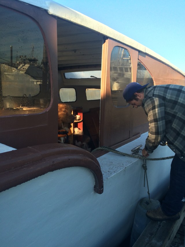 Lenny is ready and waiting!